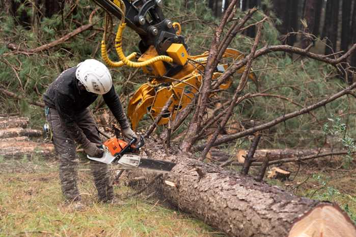 Defesa Civil emite alerta de ventos e chuvas intensos para Rondônia