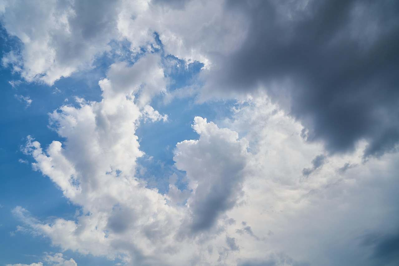 image005