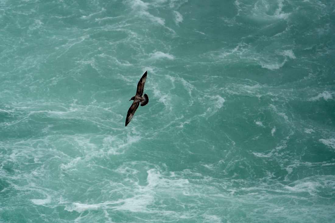 Destróier americano derruba drones lançados do Iêmen no Mar Vermelho